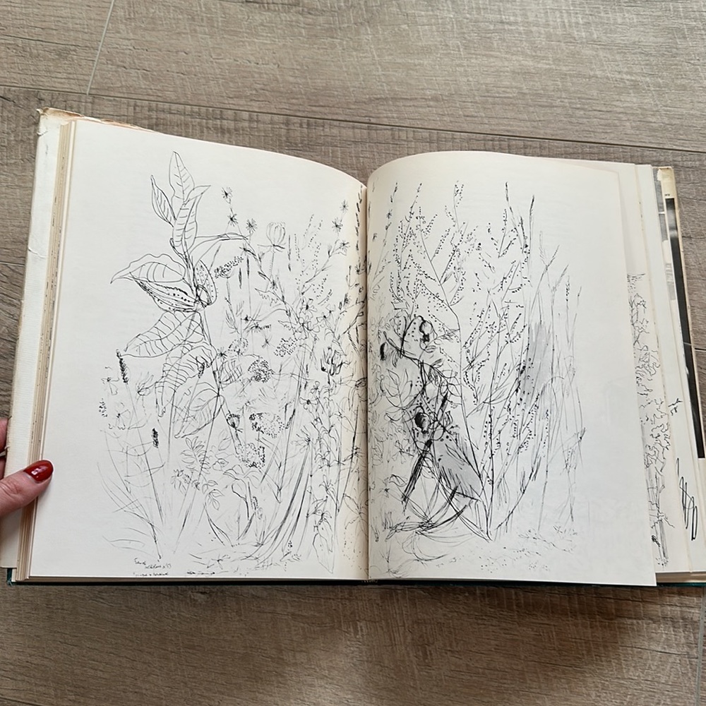 My Eye is in Love Revelations on the Act of Seeing By Drawing : Frederick Franck